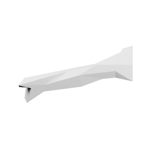 Передняя правая нога добермана