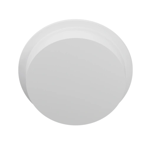 Арка для книг дракон