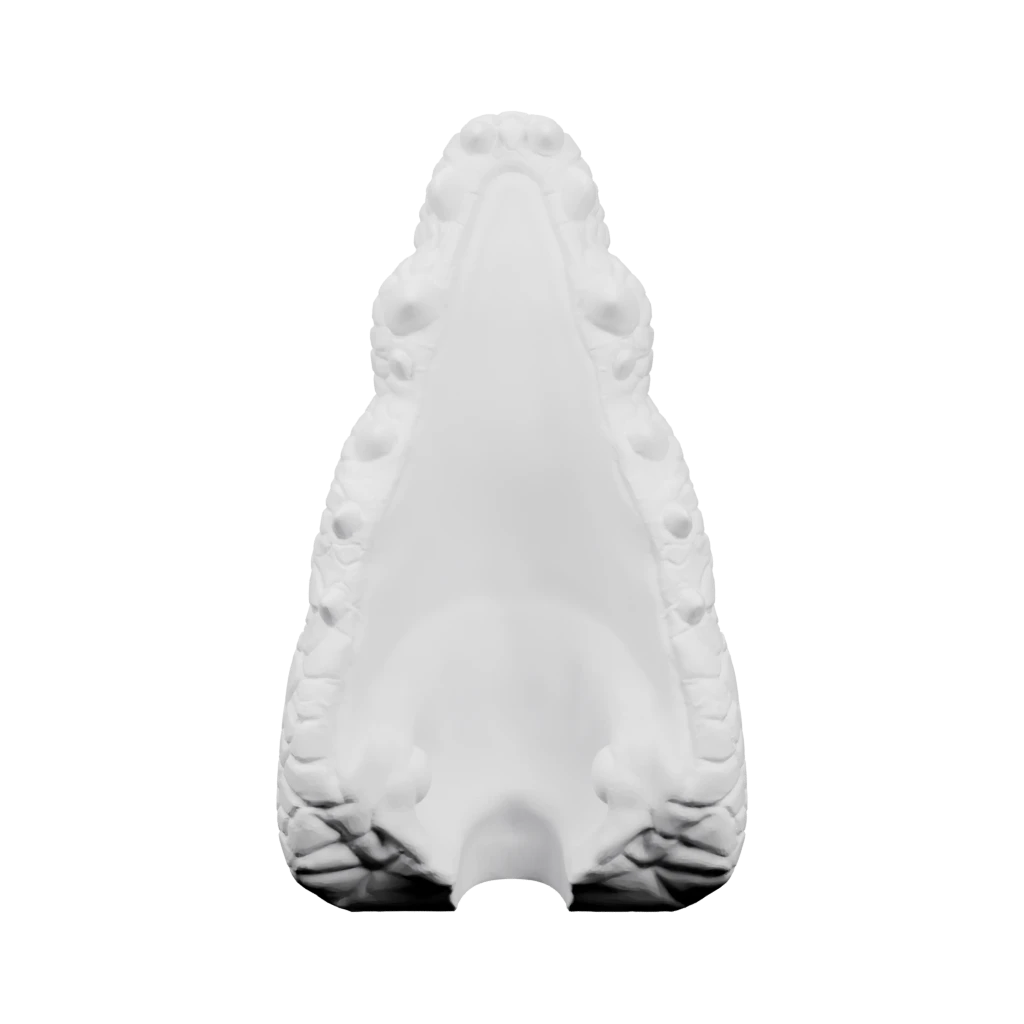 Голова крокодила