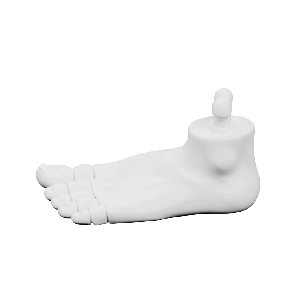 Гибкая стопа