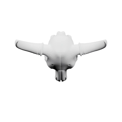 ox skull